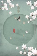 猫咪永久网站入
